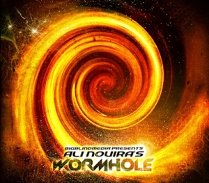 wormhole review