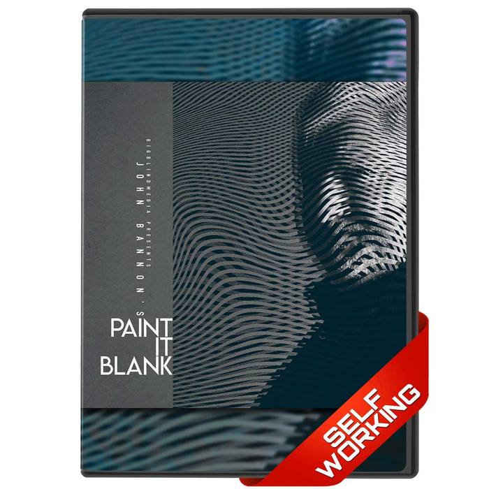 john bannon paint it blank review